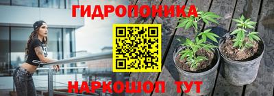 молекула духа Обь